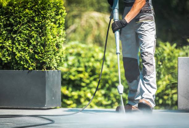Best Solar Panel Cleaning  in West Mayfield, PA