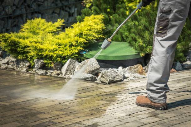 Best Pre-Holiday Cleaning  in West Mayfield, PA
